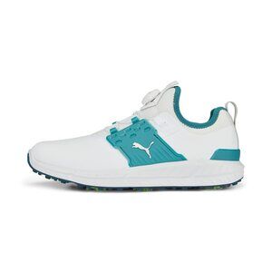 PUMA Ignite Articulate Disc Puma White/Puma Silver/Green Lagoon 9 D (M)